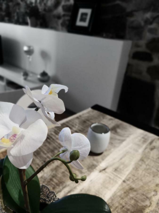 L'Authentik, Charme Et Confort En Vieille Ville Annecy Esterno foto